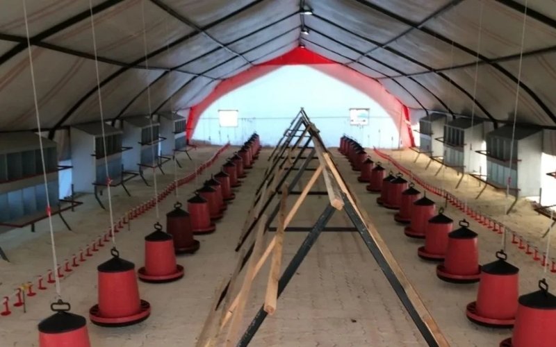 Soğuk İklimlerde Hayvan Çadırı Kullanımı ile İlgili Sıklıkla sorulan Sorular