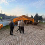 büyükbaş kurbanlık çadırı fiyatları
