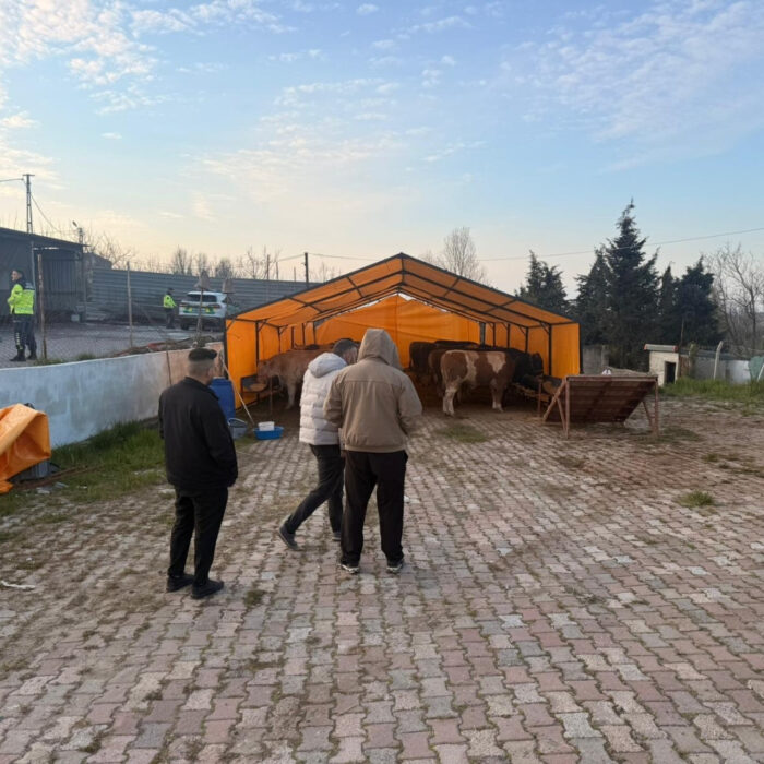büyükbaş kurbanlık çadırı fiyatları